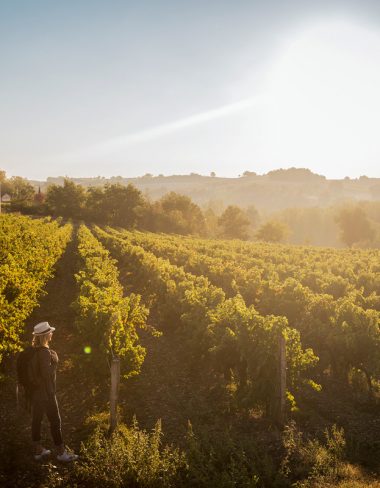 Bastides et vignoble du Gaillac